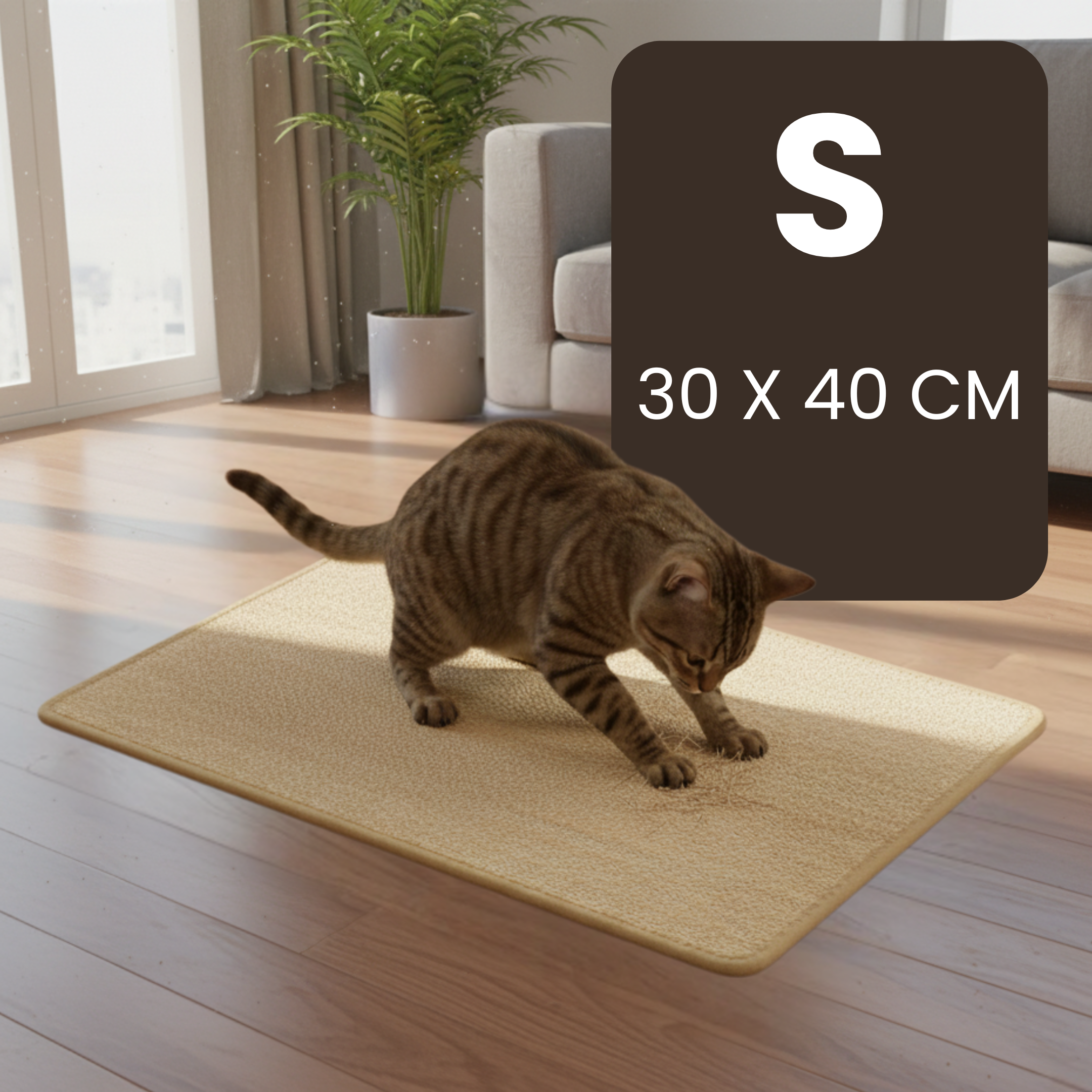 Adhesive Scratch Pad