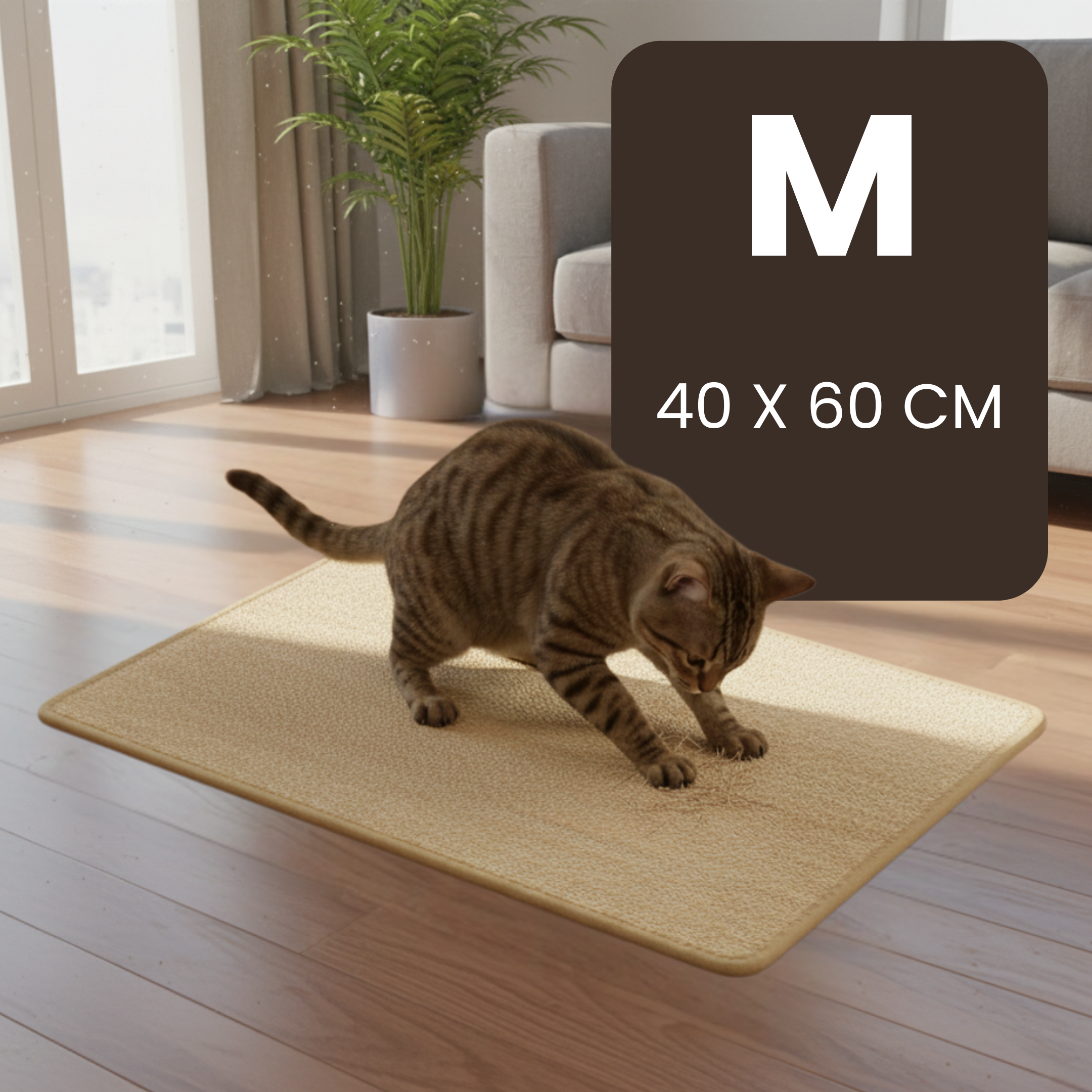 Adhesive Scratch Pad