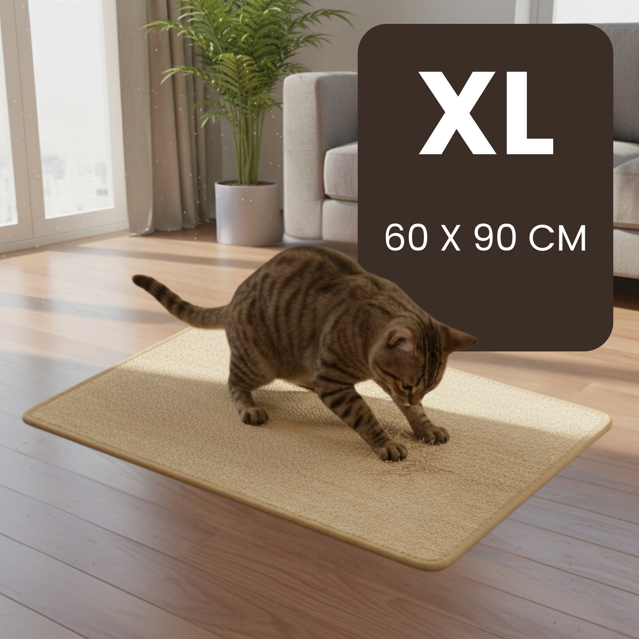 Adhesive Scratch Pad